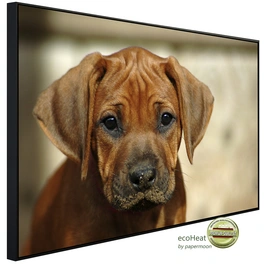 Infrarotheizung »EcoHeat - Rhodesian Ridgeback Welpe«, Matt-Effekt