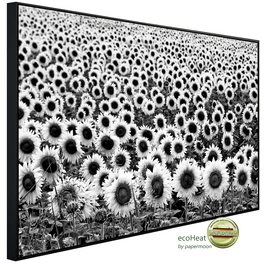 Infrarotheizung »EcoHeat - Sonnenblumen Schwarz + Weiss«, Matt-Effekt