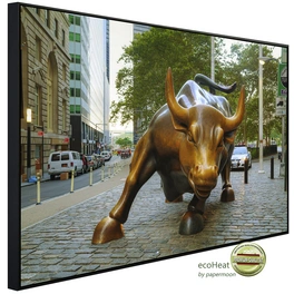 Infrarotheizung »EcoHeat - Wall Street Bull«, Matt-Effekt