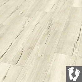 Korklaminat »Comfort«, Halifax Eiche hell (EHC028), BxL: 246 x 1292 mm