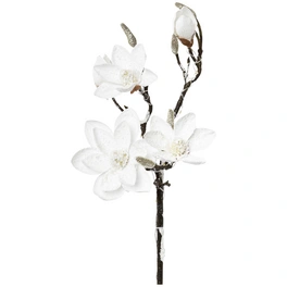 Kunstblume, Magnolie, beschneit, weiß