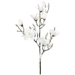 Kunstblume, Magnolie, beschneit, weiß
