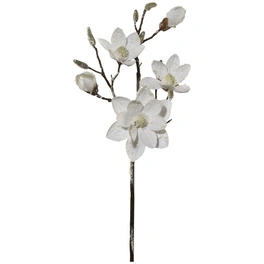 Kunstblume, Magnolie, mit Schnee, weiß