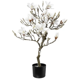 Kunstblume, Magnolienbaum, beschneit, weiß