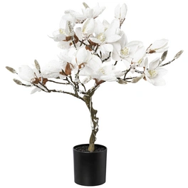 Kunstblume, Magnolienbaum, beschneit, weiß