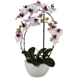 Kunstblume »Phalaenopsis 3D-Print in Keramikschale«, Kunststoff, rosa