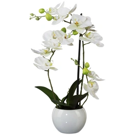 Kunstblume »Phalaenopsis 3D-Print in Keramikschale«, Kunststoff, weiß