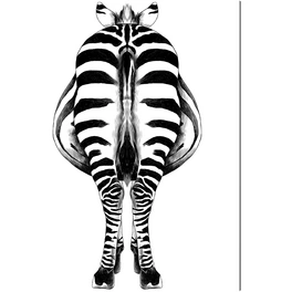 Kunstdruck »Zebra II«, mehrfarbig, Alu-Dibond