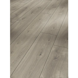 Laminat »Trendtime 6«, BxL: 243 x 2200 mm, Stärke: 9 mm, Eiche Mistral grau