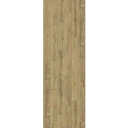 Laminat »Trendtime 6«, BxL: 243 x 2200 mm, Stärke: 9 mm, Eiche Nova gekälkt