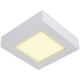 LED-Deckenleuchte »Simplex«, inkl. Leuchtmittel in warmweiß