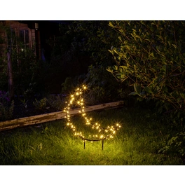 LED-Gartenstecker »Garden d'light«, mondförmig, Höhe: 75,5 cm, netz