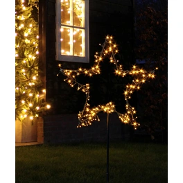 LED-Gartenstecker »Garden d'light«, sternförmig, ø: 60 cm, netz