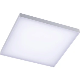 LED-Panel »Shari«, dimmbar, inkl. Leuchtmittel