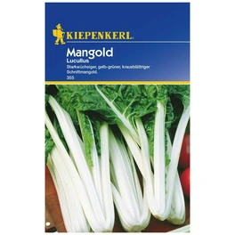 Mangold Beta vulgaris var. vulgaris »Lucullus«