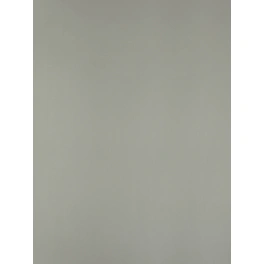 Möbelbauplatte, BxHxL: 200 x 19 x 2600 mm, silberfarben