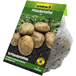 Pflanzkartoffel, Solanum tuberosum »Gala«, 10 Stück