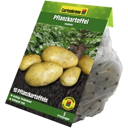 Pflanzkartoffel, Solanum tuberosum »Sieglinde«, 10 Stück