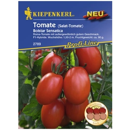 Salat-Tomate lycopersicum Solanum »Bolstar Sensatica«