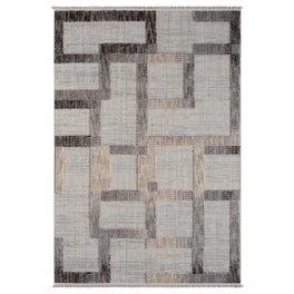 Teppich » Balania«, BxL: 200 x 290 cm, Polyester