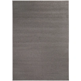 Teppich »Jerez «, BxL: 67 x 140 cm, beige