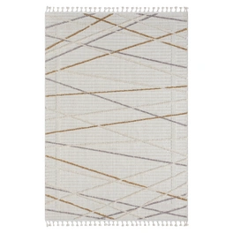 Teppich » Luana 1«, BxL: 140 x 200 cm, Polyester