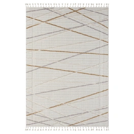 Teppich » Luana 1«, BxL: 160 x 230 cm, Polyester