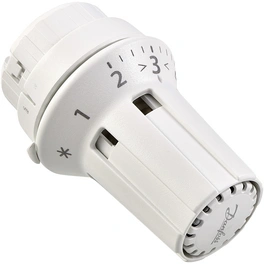 Thermostat-Kopf, BxHxL: 65 x 59 x 100 mm, weiß
