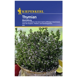 Thymian vulgaris Thymus