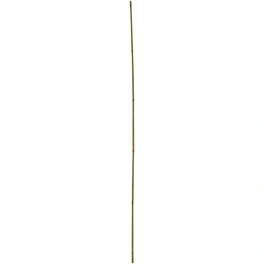 Tonkinstäbe, bambus, Höhe: 150 cm