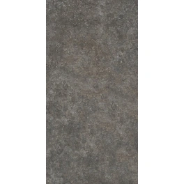 Vinylboden »SLY LARGE«, BxLxS: 406,4 x 810 x 7,5 mm, grau/braun