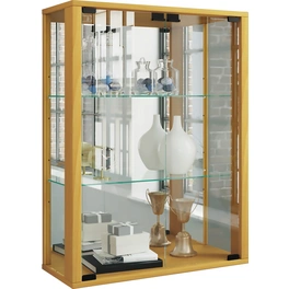 Vitrine »Udina«, inkl. LED-Beleuchtung, BxH: 60 x 80 cm, Holzwerkstoff/Glas