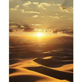 Vliestapete »Dune DD«, Wüste, Sonnenaufgang, orange/braun