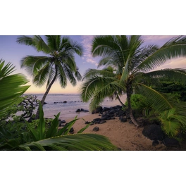 Vliestapete »Hawaiian Dreams «, Breite 450 cm, seidenmatt