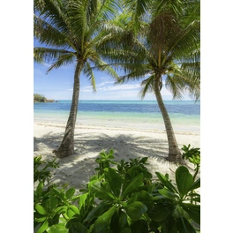 Vliestapete »Palmy Beach«, Breite 200 cm, seidenmatt