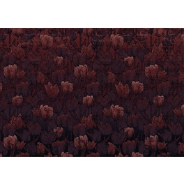 Vliestapete »Tulipe«, Breite 400 cm, seidenmatt