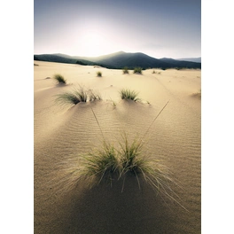 Vliestapete »Vivid Dunes«, Breite 200 cm, seidenmatt