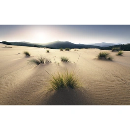 Vliestapete »Vivid Dunes«, Breite 450 cm, seidenmatt
