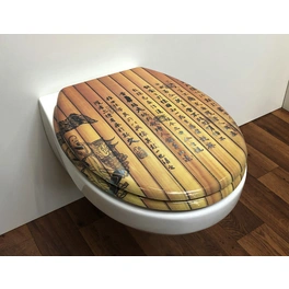 WC-Sitz, BxT: 37 x 45,5 cm, Chinesische Schrift