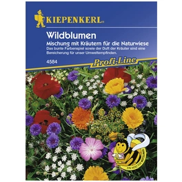 Wildblume mit Kräutern, Mischung, Samen, Blüte: mehrfarbig