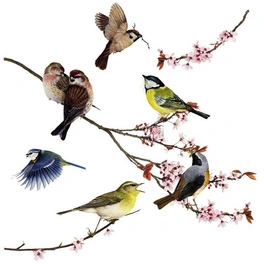 Windowsticker »Birds«, BxH: 31 x 31 cm