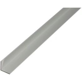 Winkelprofil, BxHxL: 1 x 1 x 100cm, Aluminium