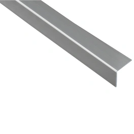 Winkelprofil Kunststoff silber 1000 x 30 x 30 x 1,5 mm