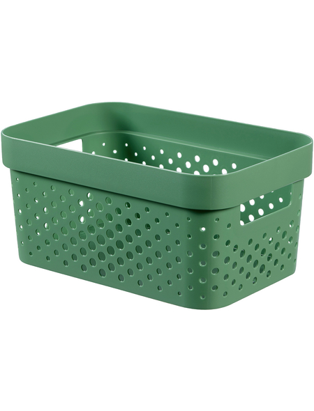 CURVER Aufbewahrungsbox »Infinity«, BxHxL: 26 x 12,3 x 17,5 cm