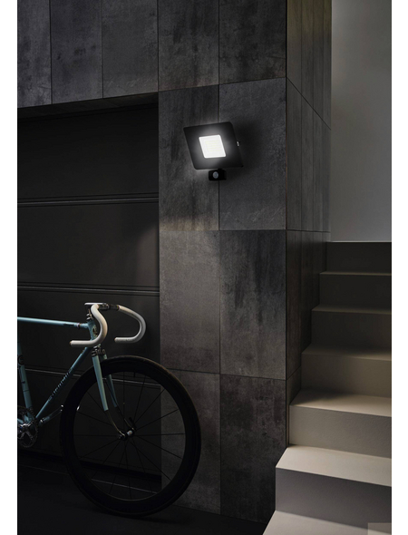 EGLO LED-Außenstrahler mit Sensor, 50 W, inkl. Bewegungsmelder, IP44