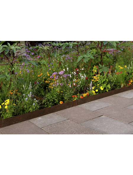 FLORAWORLD Rasenkante - Hagebau.at