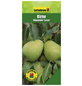 Gartenkrone Birne, Pyrus communis »Alexander Lucas«, Früchte: süß-Thumbnail