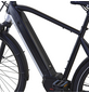 PROPHETE E-Bike, E-SU V, 10-Gang, 28″, RH: 55 cm, 576 W, 36 V, max. Reichweite: 200 km-Thumbnail