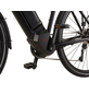 PROPHETE E-Bike »Entdecker«, E-Trekkingbike, 10-Gang, 28″, RH: 55 cm, 630 W, 36 V, max. Reichweite: 200 km-Thumbnail