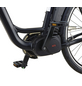 PROPHETE E-Bike »Geniesser«, E-Citybike, 7-Gang, 28″, RH: 49 cm, 576 W, 36 V, max. Reichweite: 180 km-Thumbnail